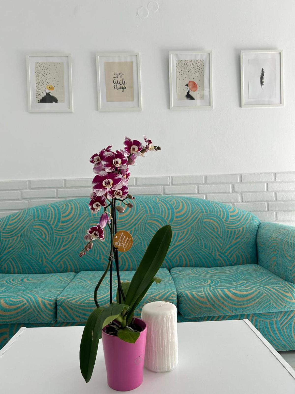 Maria'S Apartments Pigi  Ngoại thất bức ảnh